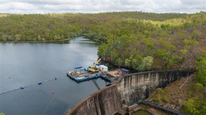 Are there crocs in Manton Dam?