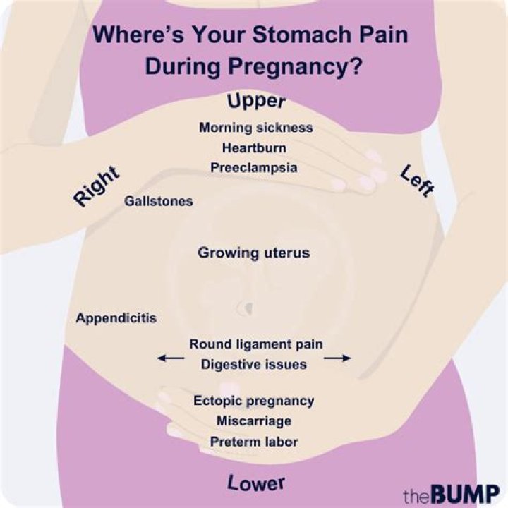 Can you roll your stomach when pregnant?