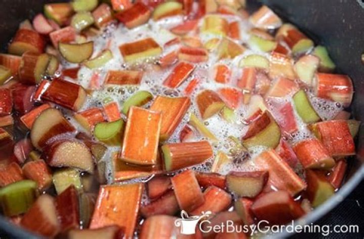 Do you thaw frozen rhubarb before making pie?