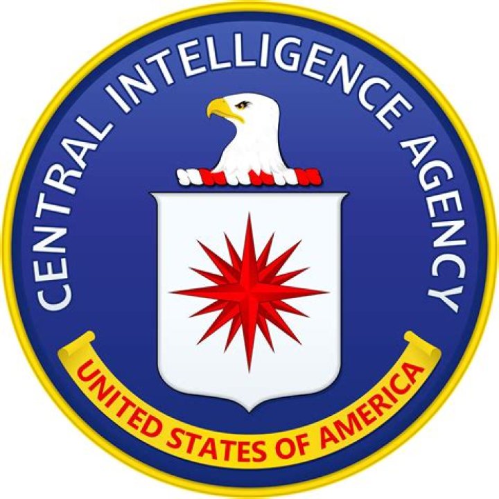 Does central intelligence have inappropriate scenes?
