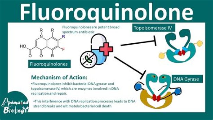 How is fluoroquinolone toxicity treated?