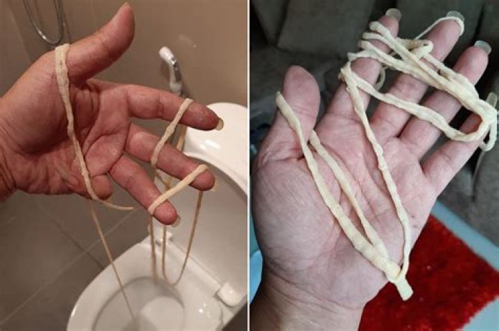 How long do tapeworms live outside the body?