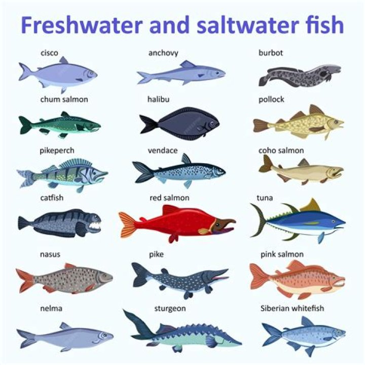 How many species of freshwater fish are there in India?