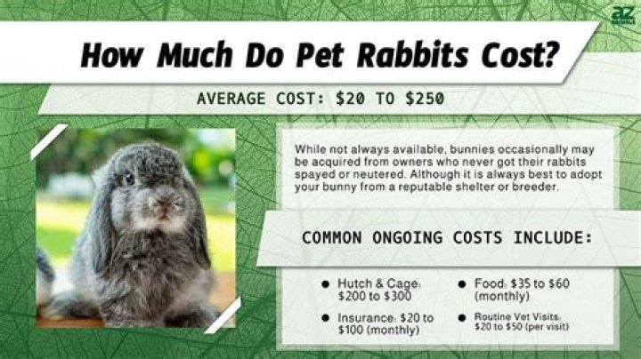 How much are bunnies at the pet store?