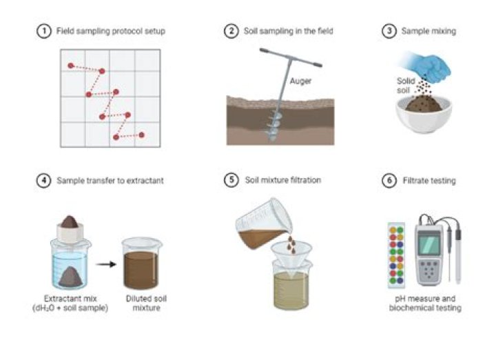 How much does it cost to process a soil sample if you are a North Carolina resident?