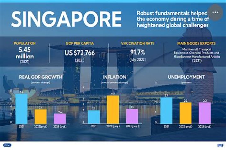 How much of Singapore GDP is trade?