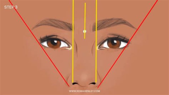 How should your eyebrows line up with your nose?