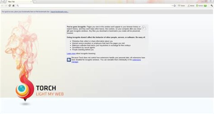 Is it safe to download Torch browser?