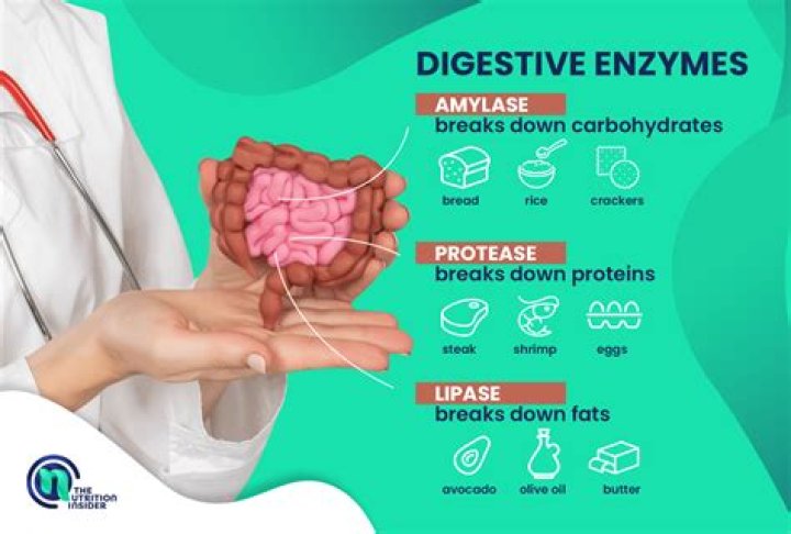 Is it safe to eat digestive enzymes?