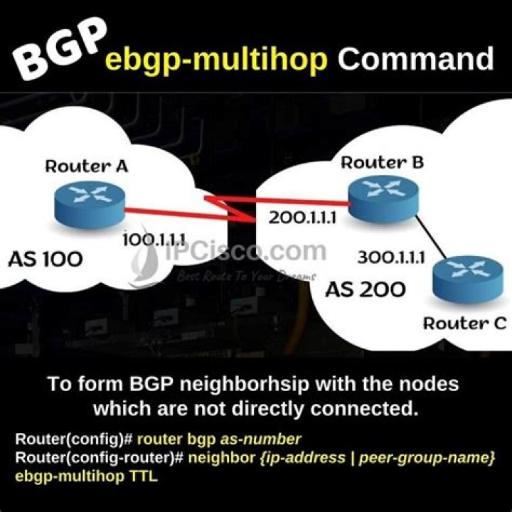 What are BGP commands?