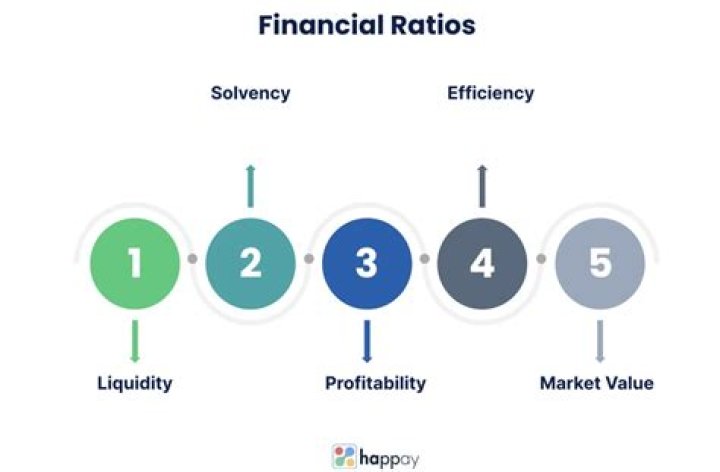 What are the 4 financial ratios?