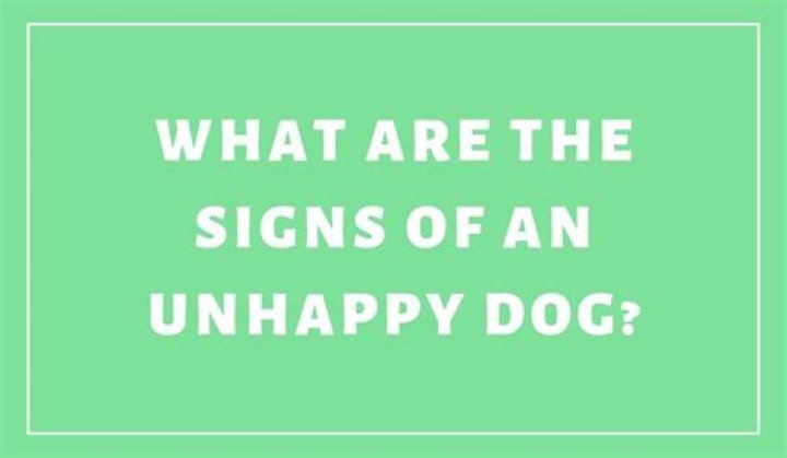 What are the signs of an unhappy dog?
