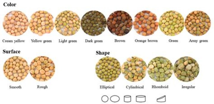 What can be made from split peas?