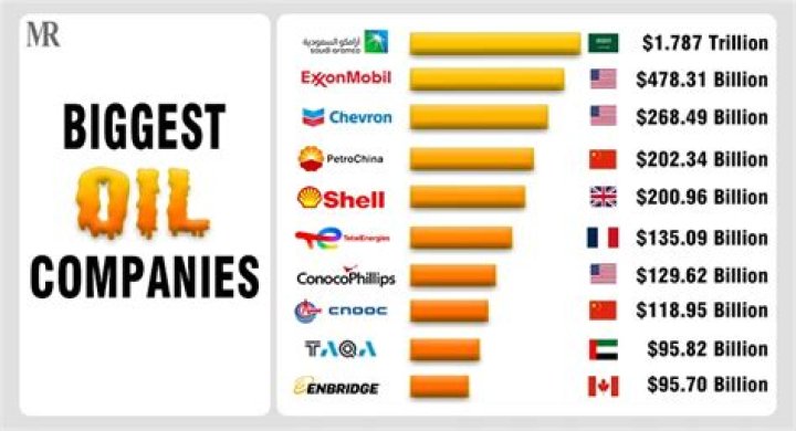 What company owns the most oil tankers?