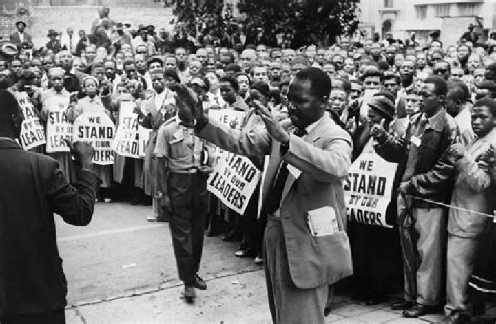 What did Nelson Mandela do during apartheid?