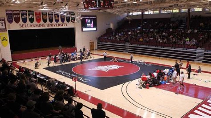 What division is Bellarmine wrestling?