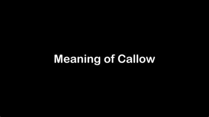 What does Callow mean Callow?