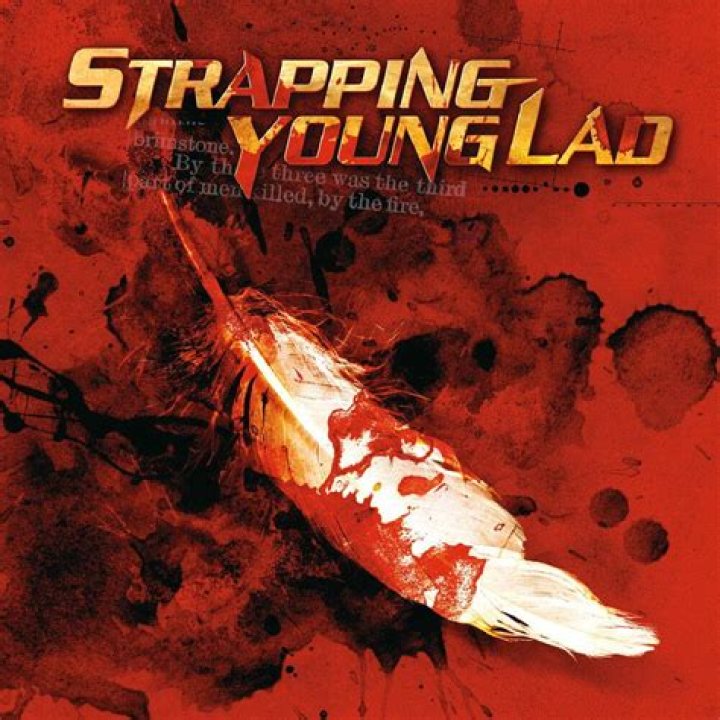 What does Strapping Young Lad mean?