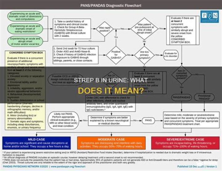 What does Strep B in urine mean?