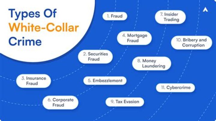 What does white-collar criminal means?