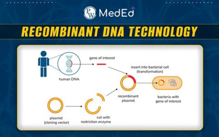 What is DigiClone dmo?