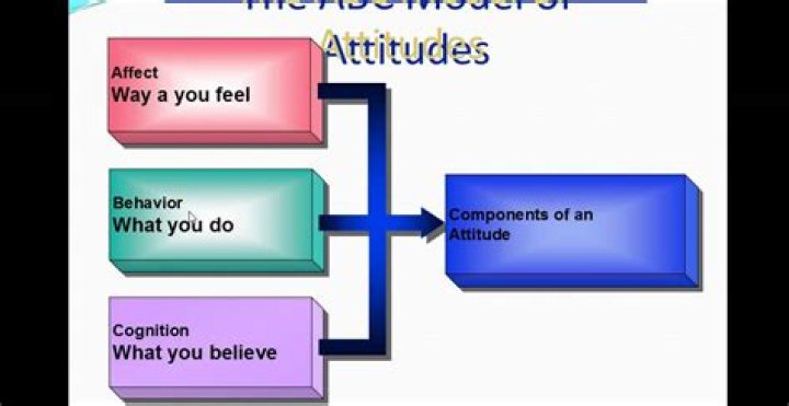 What is the attitude to behavior process model?