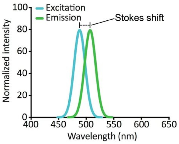 What is the excitation for GFP?