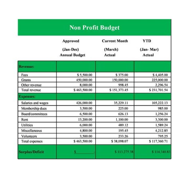 What should be included in a non profit budget?
