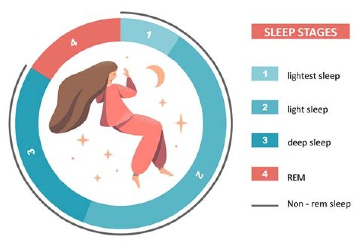 What stage of sleep is the first hour?