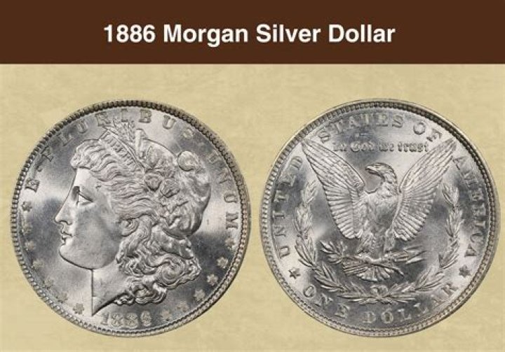 Where is the mint mark on a Morgan 1884 Silver Dollar?
