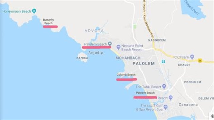Which part of Goa is Palolem Beach?