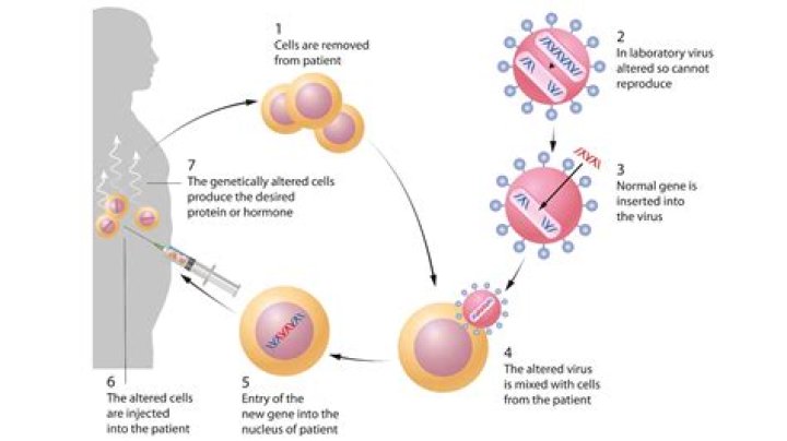 Who first invented gene therapy?