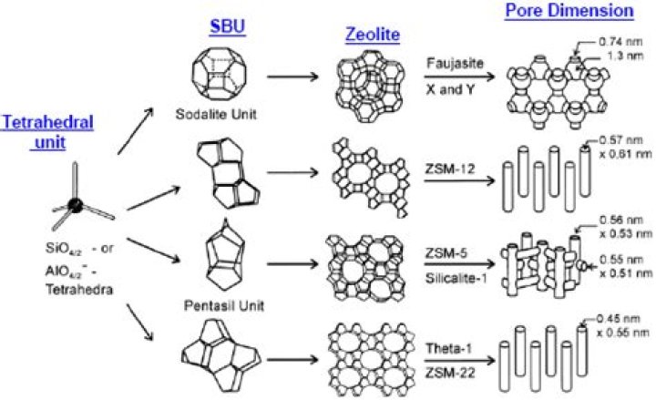 Why are zeolites good shape selective catalysts?