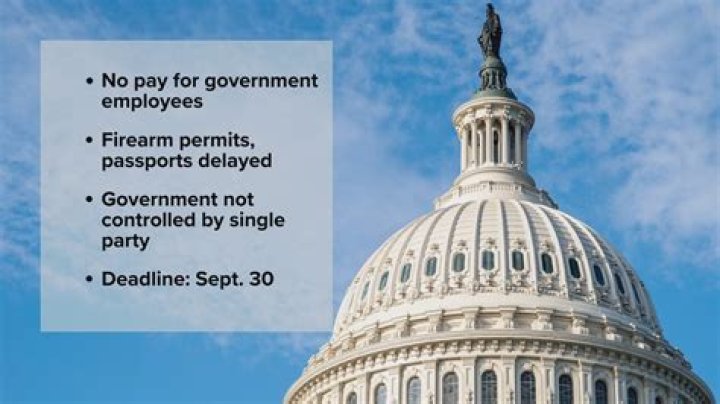 Why does the US government regulate monopolies?